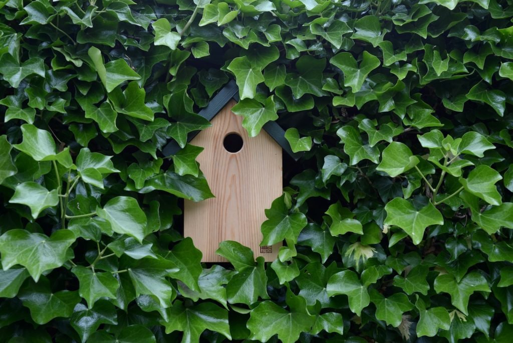 brown wooden birdhouse surrounded by green leaves