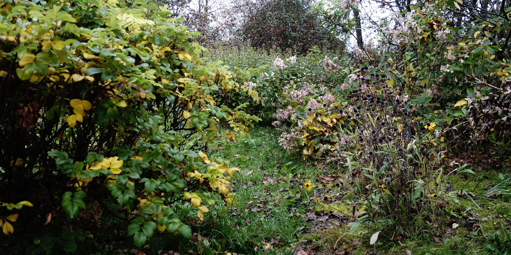 garden clearance london