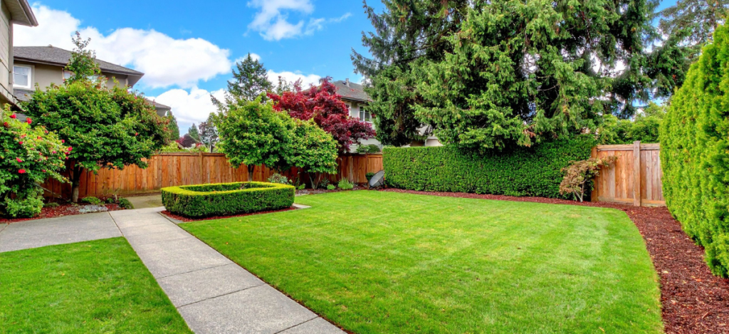 garden with lush green lawn