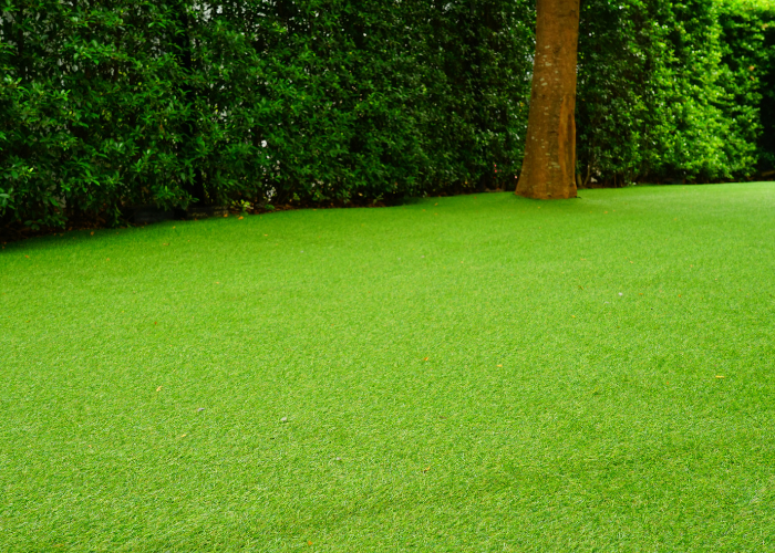 artificial grass