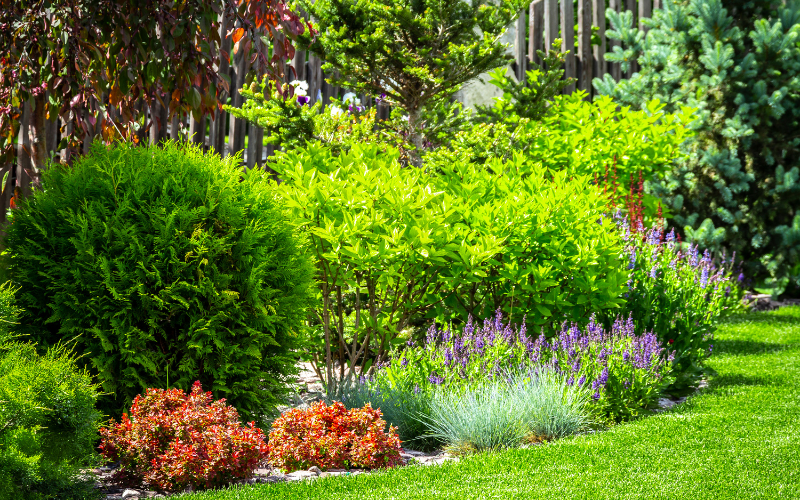 neat, well maintained garden with lawn and planted border