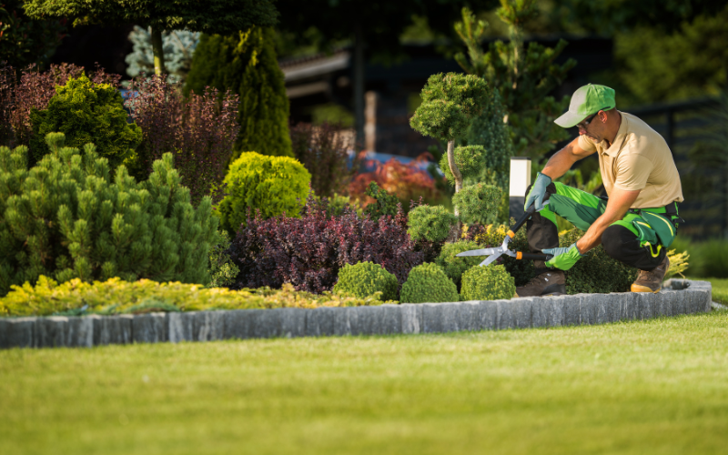 professional gardener pruning a shrub with shears