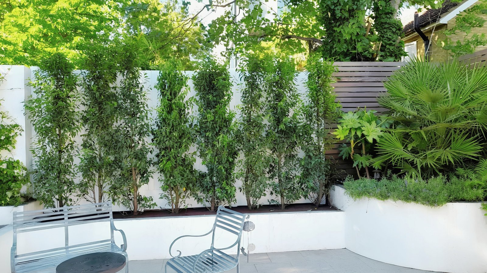 Garden Restoration and replanting carried out by Lyuven Bespoke garden maintenance and renovation in Putney, London