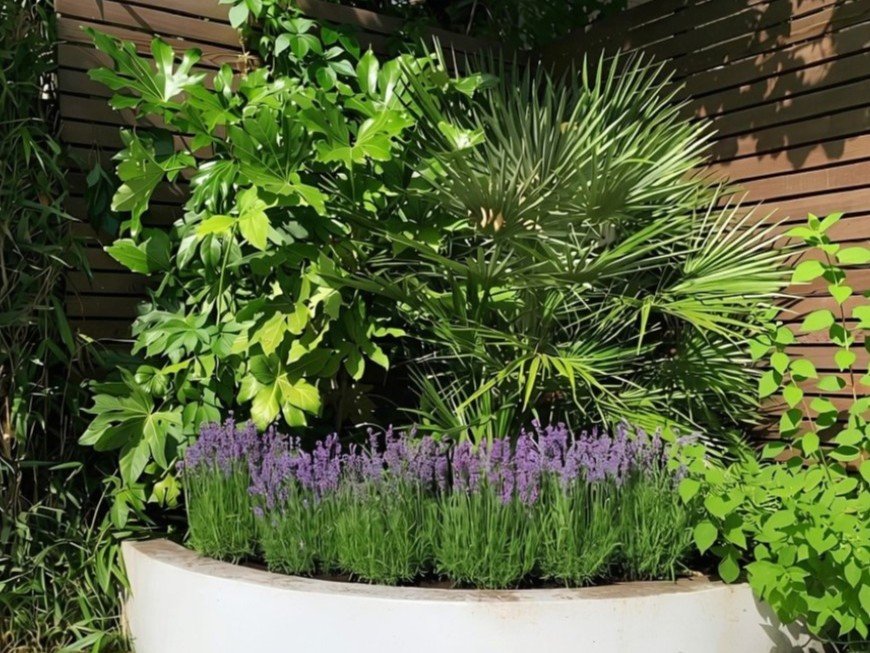 Garden Restoration and replanting carried out by Lyuven Bespoke garden maintenance and renovation in Putney, London
