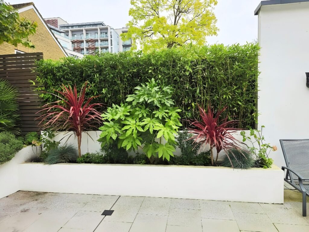 Garden Restoration and replanting carried out by Lyuven Bespoke garden maintenance and renovation in Putney, London