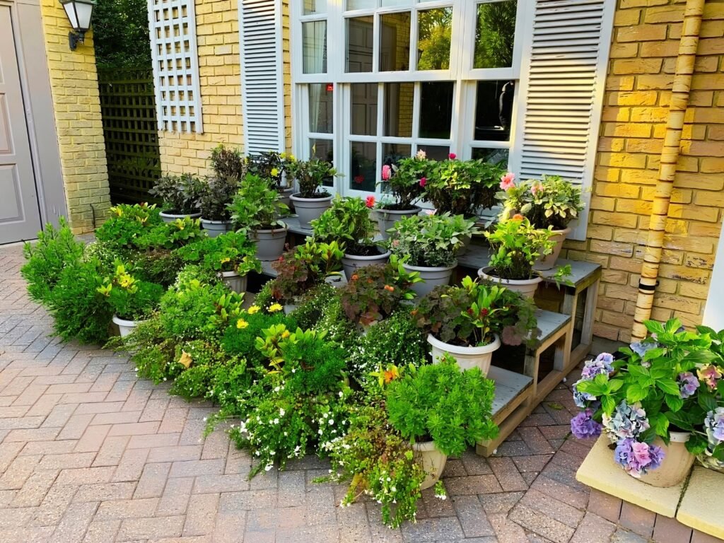 Planting, Decking and Lawn Restoration carried out by Lyuven Garden Maintenance services in Kingston Upon Thames, London.