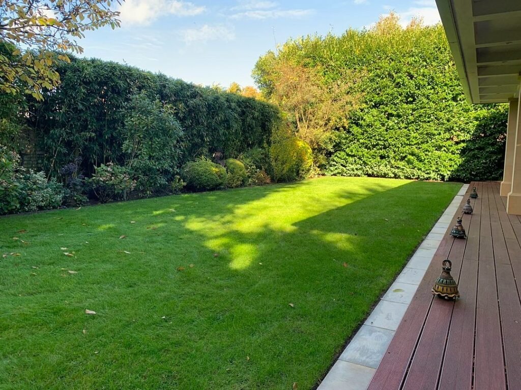 Planting, Decking and Lawn Restoration carried out by Lyuven Garden Maintenance services in Kingston Upon Thames, London.