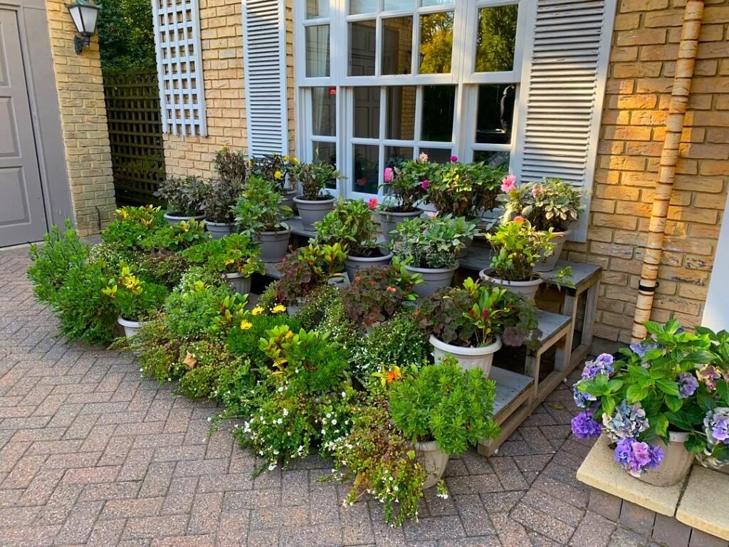Planting, Decking and Lawn Restoration carried out by Lyuven Garden Maintenance services in Kingston Upon Thames, London.