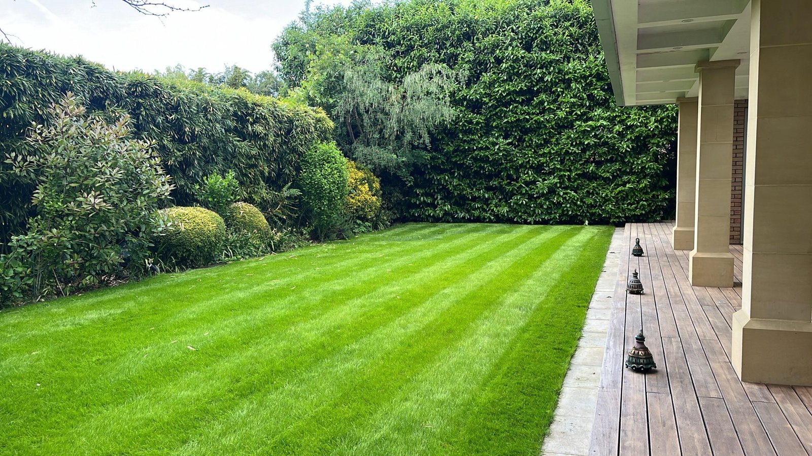 Lyuven Garden Maintenance and renovation service in Sutton and South west London